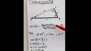 Sinus  Erklärung [upl. by Margarita]