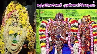 மீனாட்சி சுந்தரேஸ்வரர் கோவில் அன்னாபிஷேகம் 2024  Meenakshi Sundareswarar Temple Annabhishekam [upl. by Suiramad575]