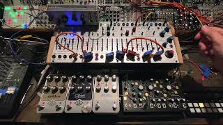 Buchla 208c amp MakeNoise Strega Dream Team [upl. by Lundeen]