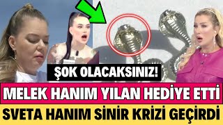 SEDA SAYAN MELEK HANIM SVETA HANIM’A YILAN VERDİ ANASTASİA SİNİRLENDİ CANER ANNESİNE ŞOK SÖZLER [upl. by Dalston]