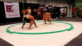 Strongman vs Sumo [upl. by Ramyaj]