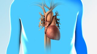 Heart Failure  Discharge Instructions  Nucleus Health [upl. by Jasper]