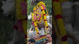 Pradosham dharshan  Agatheeswarar temple🛕  Villivakkam 🙏🏻 [upl. by Bridget]