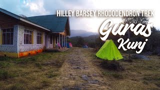 The rhododendron trek  Offbeat  Hilley to Barsey via Okhrey  Guras kunj  West Sikkim  SupusDEN [upl. by Goodard483]