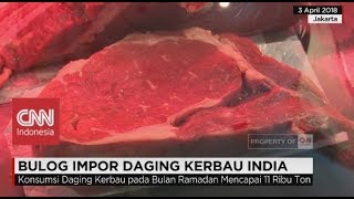 Bulog Impor Daging Kerbau India [upl. by Elleret705]