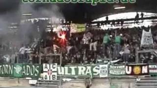 Die besten RAPID WIEN Fangesänge Part 2 [upl. by Melan86]