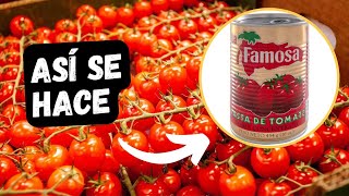 ✅ COMO se HACE la SALSA de TOMATE en la FÁBRICA 🏭  ASI se FABRICA la SALSA de TOMATE viral [upl. by Iffar]