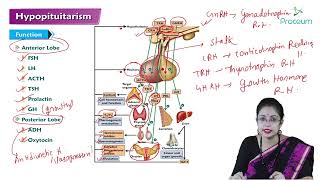 Hypopituitarism Hindi  Internal Medicine [upl. by Cornish]