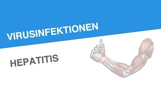 VIRUSINFEKTIONEN HEPATITIS  Biologie  Biologie des Menschen Mittelstufe [upl. by Lucienne]