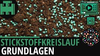 Stickstoffkreislauf Grundlagen│Biologie Lernvideo Learning Level Up KI [upl. by Keely379]