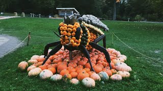 Pumpkin festival in Ludwigsburg Germany [upl. by Nnauol65]