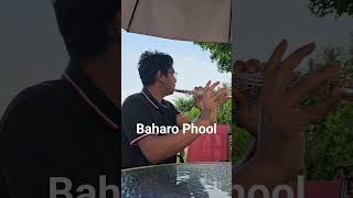 baharoo phool barsao mera meheboob aya hai old hindi song flute [upl. by Karr]