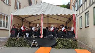 Musikverein Emmingen beim Städtlefest Möhringen 672024 [upl. by Macpherson632]