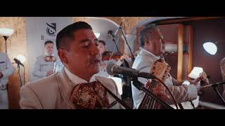 Mariachi Monarca de Zitacuaro Michoacán “actos de un tonto” [upl. by Mosora831]