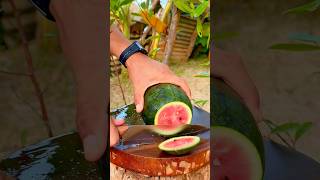 Ripe watermelon great cutting very fresh l love natural watermelon reels satisfying like asmr [upl. by Mathi]