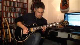 Luiz Arantes  Guthrie Govan  Larry Carlton Style Jam Cover [upl. by Ahsiekel723]