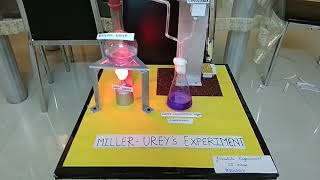 Miller Urey experiment working model [upl. by Lada403]