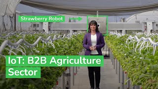 IoT Powering the Digital Economy  The B2B Agriculture Sector  Schneider Electric [upl. by Yllac365]