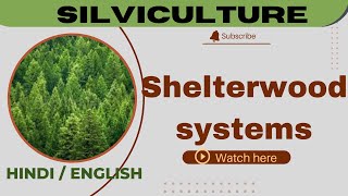 Shelterwood system  silviculturescoringscience4120 [upl. by Pryce754]