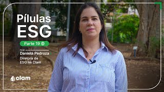 Pílulas ESG 19  Sustainability Bonds e SustainabilityLinked Bonds [upl. by Eyanaj269]