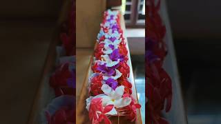 Arent they expressiveGarland Seriesshorts vibrant flowers explore flowers beginner reels [upl. by Eremahs]