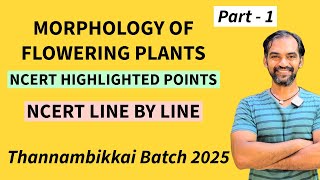 Morphology of Flowering Plants in Tamil  NCERT Highlighted points  TB 2025 [upl. by Annaitsirk]