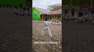 GIBON POOMSAE 1 3 [upl. by Ahsienad]