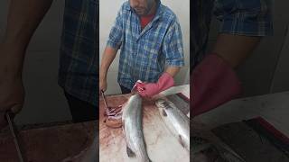 Gut the fish in one motion without deboning fishcutting [upl. by Ielerol]