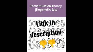 Biogenetic law Recapitulation theory [upl. by Nelg836]