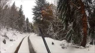 battue au sanglier dans la neige saison 20132014 tir dun sanglier wild boar hunting go pro hd [upl. by Shina]