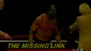 The Missing Links WWF Debut [upl. by Dewitt972]