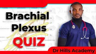 Test Yourself Brachial Plexus Quiz USMLE MBBS Type MCQ [upl. by Bellis]