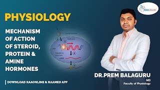 Physiology  Mechanism of action of steroid protein and amine hormones  Raaonline [upl. by Gaughan]