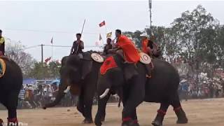 Lễ hội đua Voi Buôn Đôn Đăk Lăk  Festival cà phê 2019 Elephant Racing Festival [upl. by Wise]