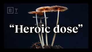 The “heroic dose” of psychedelics according to Johns Hopkins  Dr Matthew Johnson [upl. by Orola]