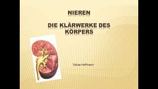 Die Niere leicht erklärt Einfach erklärt Niereninsuffiziens Dialyse Nierenkrankheiten [upl. by Lenka966]