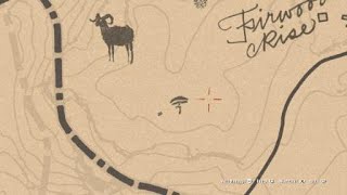 Red Dead Redemption 2 Parasol Mushroom Location [upl. by Downey]