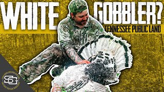 Parker Shot A WHITE GOBBLER   Tennessee Public Land Turkey Hunting [upl. by Giavani742]