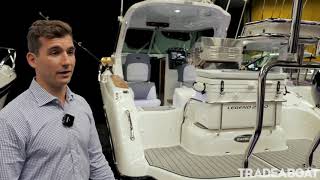 Hutchwilco Boat Show 2019 Rayglass Legend 2500  TradeABoat NZ [upl. by Ylaek]