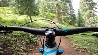 Snowmass Bike Park  Dust Bunny  82124 [upl. by Ahsyen]