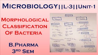 Morphological Classification Of Bacteria  Microbiology L3Unit1 Bpharma 3rd sem  in Hindi [upl. by Loseff]