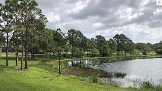 Greenacres Freedom Park Florida USA Beautiful Lake and Wild Life Amazing Nature Birds [upl. by Lockwood]