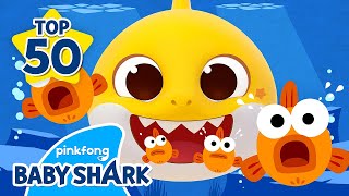 Baby Sharks BEST 50 SONGS  Compilation  Doo Doo Doo 1 hour  Baby Shark Official [upl. by Enahpad]