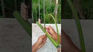 Homemade Archery archery diy bamboo toys toy greenscreen shortvideo shortvideo shorts [upl. by Schafer]