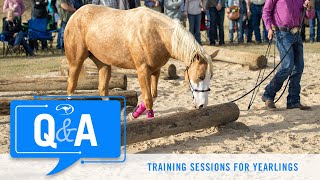 Training Sessions for Yearlings  QampA With Clinton Anderson [upl. by Etolas]