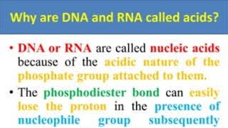 डीएनए को अम्लीय क्यों कहा जाता है why are DNA called acid आइए जानें [upl. by Znerol]