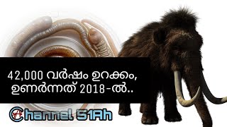 42000 വർഷങ്ങൾക്ക് ശേഷം വീണ്ടും ജീവിതത്തിലേക്ക് [upl. by Esydnac444]