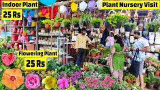 Plant Nursery visit  पौधे की कीमत 25 Rs  Plant Price with Names  Amit Nursery 🌻🌺 [upl. by Mindi]