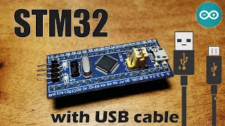 Programming STM32 with a USB cable in the Arduino IDE [upl. by Lemaceon414]