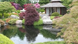 An extraordinary Japanese garden  Un jardin japonais extraordinaire [upl. by Ylellan]